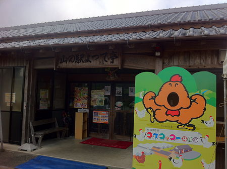 写真 6