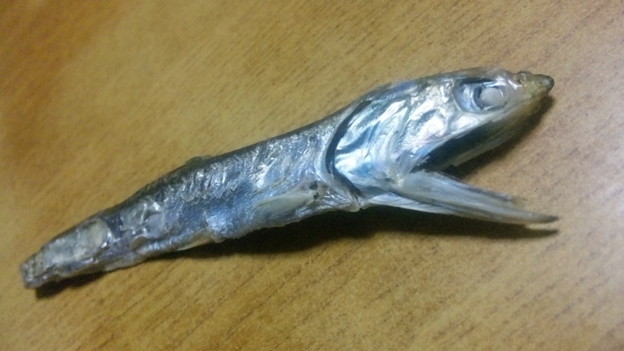 ぎゃーす 写真共有サイト フォト蔵