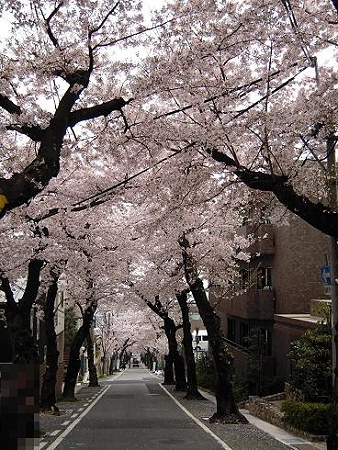 DSCN6845