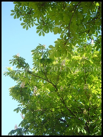 P2700056