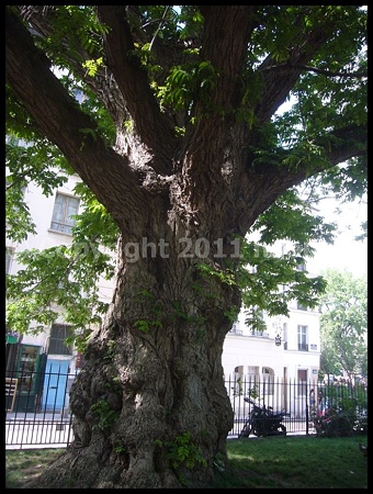 P2720506