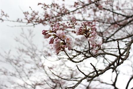 043