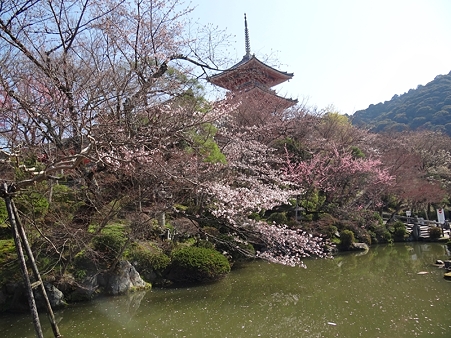 DSC04218_R