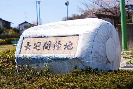 Chinese cabbage Type of park signage.
