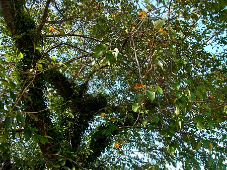 R0015840