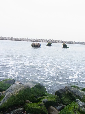 R0014645