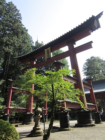 北口本宮富士浅間神社 鳥居