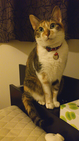 2011100202