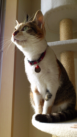 2011100205