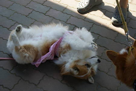 DSC03013