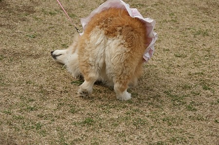DSC09158