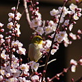 Photos: DSC09156