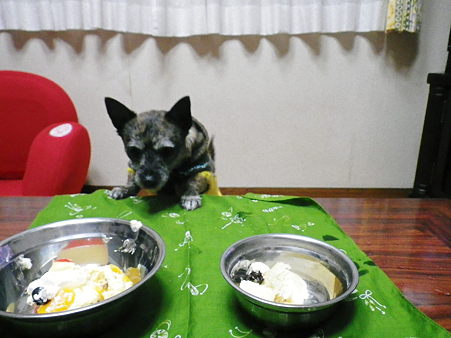 こうめ