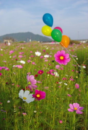 IMGP6536_1010