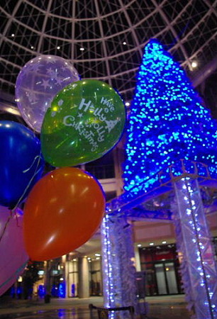 IMGP2488_1127