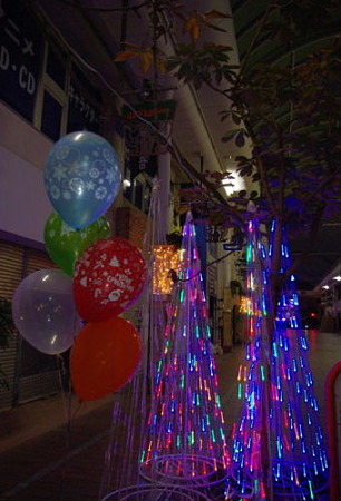 IMGP3153_1204