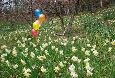 IMGP8851_0325