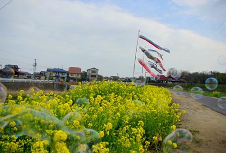IMGP0031_0331