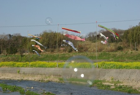 IMGP0064_0331