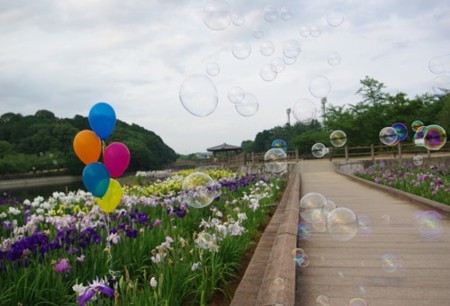 IMGP5198_0617