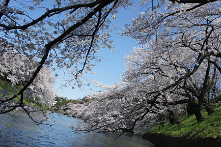 DSC02009