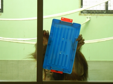 ムムの部屋DSCN1638