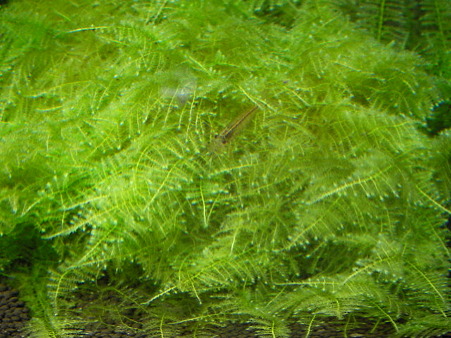 2011 02/07 002