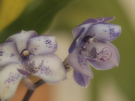 P2180175