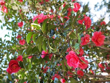 P3264930
