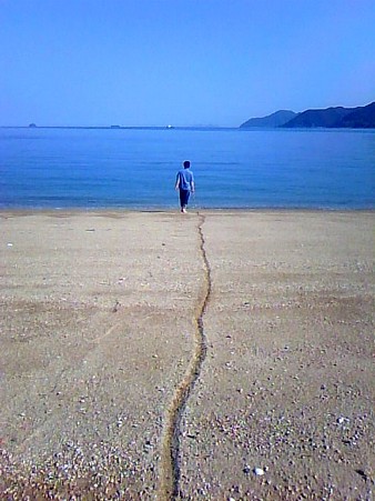 向島201105173