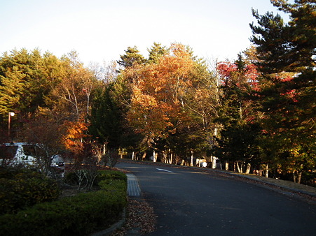 八ヶ岳 613