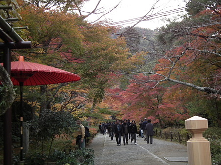 京都 215
