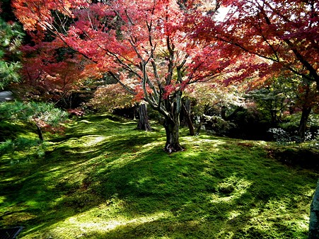 京都2 004