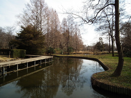 DSCF0017