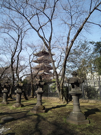 DSCF0343