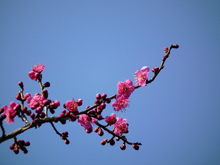 DSCF0069