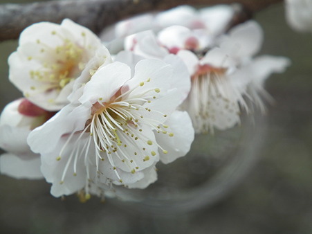 DSCF0063