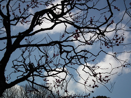 DSCF0308