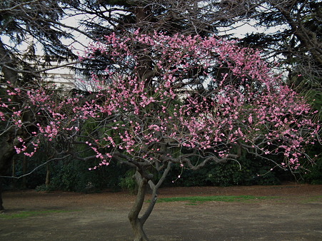 DSCF0736