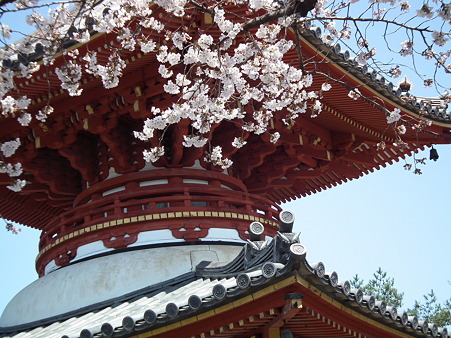 DSCF0071