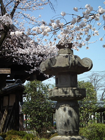 DSCF0146