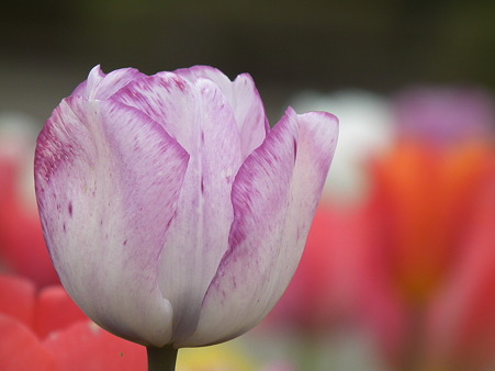 DSCF0041