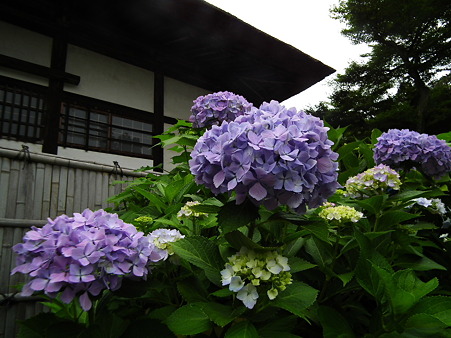 画像 389