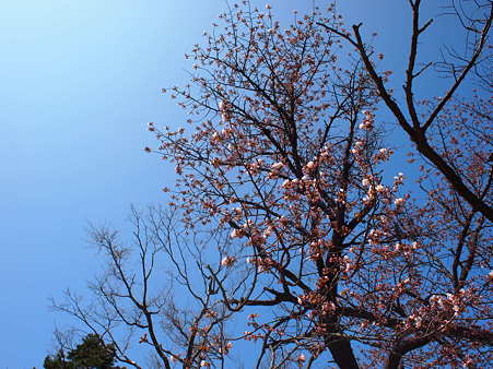 P5050530