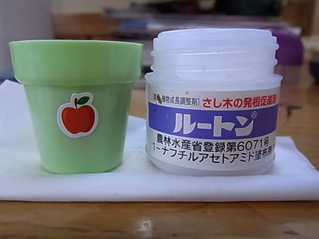 リンゴシール