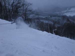 IMGP0981_R