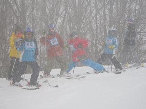 IMGP2492_R