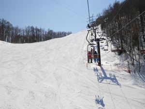 IMGP2733_R