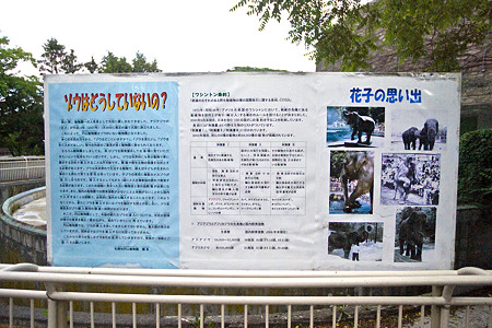 mauyama110705267