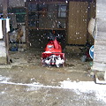 Photos: 2011/02/13 03 除雪機